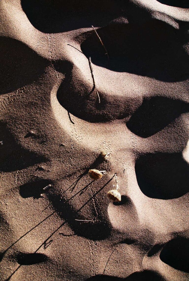 A close up photograph of the sand at Great Sand Dunes National Park in Colorado