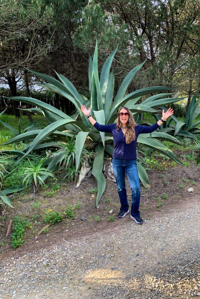 photo of a woman shocked at how large a succulent is in Azoia, Portugal